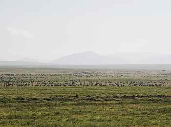 Lake Masek Tented Camp: Blick in die Natur