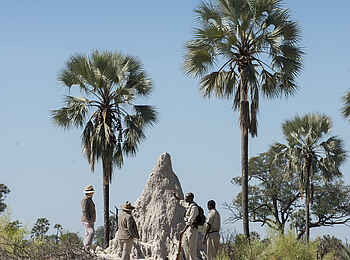 Nxabega Okavango Tented Camp: Walking Safari