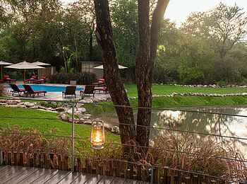 Onguma Forest Camp: Campansicht