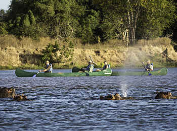 Ruckomechi Camp: Kanufahrt Ruckomechi Camp: Kanufahrt
