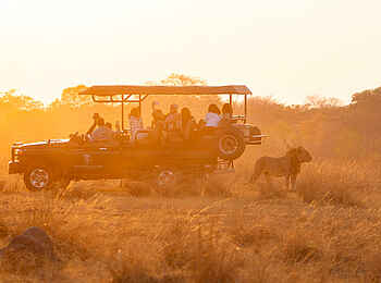 Sable Valley Lodge: Pirschfahrt Sable Valley Lodge: Pirschfahrt