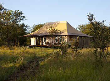 Sayari Camp: Gästesuite mit Zeltdach Sayari Camp: Gästesuite mit Zeltdach