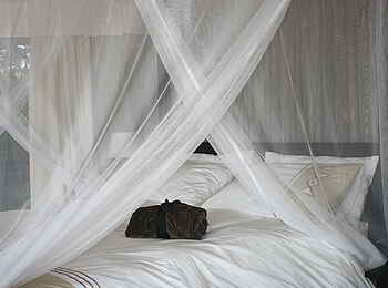 Taranga Safari Lodge: Bequemes Doppelbett