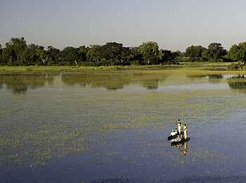 Tubu Tree: Mokoro-Fahrt über die Flutebene Tubu Tree: Mokoro-Fahrt über die Flutebene
