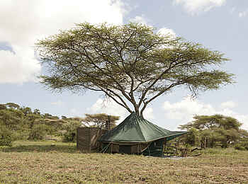 Wayo Nabi Green Camp: Privates Toiletten- und Gästezelt Wayo Nabi Green Camp: Privates Toiletten- und Gästezelt