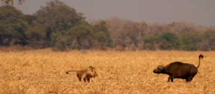 Katavi-Nationalpark