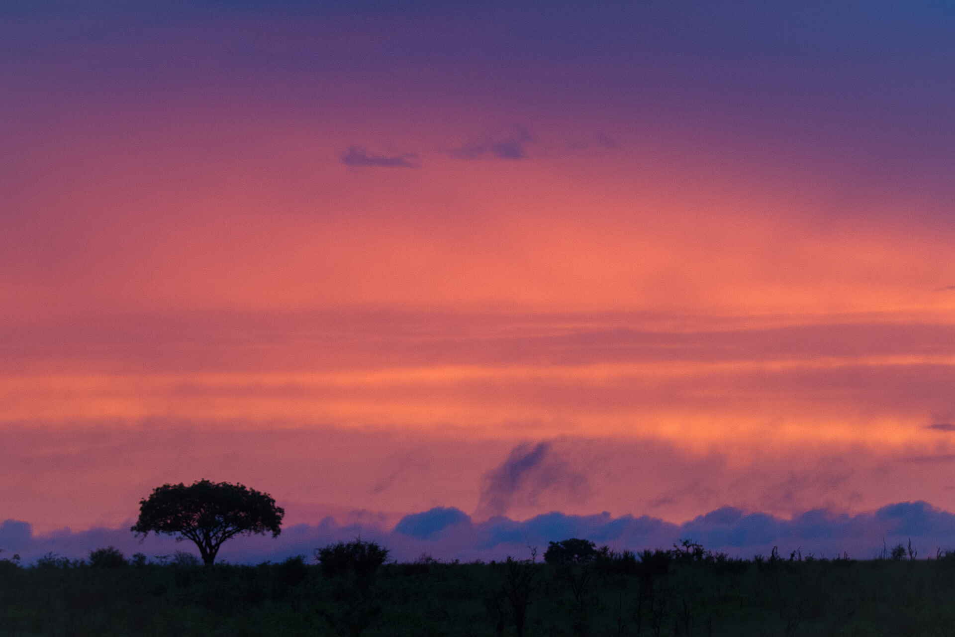Londolozi Private Granite Suites, Luxus Safari, Sabi Sands, Wildlife, Afrikarma Safaris, Afrikarma Safaris - Wildnis. Hautnah., afrikarma.de