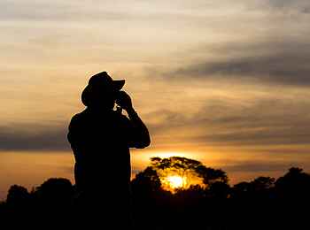 Ntemwa Busanga Bushcamp: Sonnenuntergang