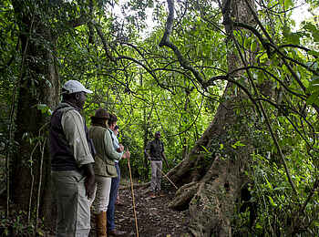 Arusha Serena Hotel: Geführte Wanderungen Arusha Serena Hotel: Geführte Wanderungen
