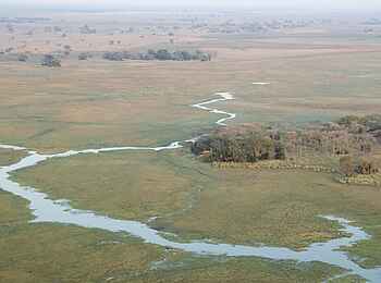 Busanga Bush Camp: Die Busanga Plains aus der Luft Busanga Bush Camp: Die Busanga Plains aus der Luft