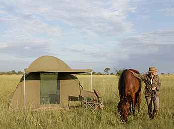 Camp Kalahari: Fly Camp