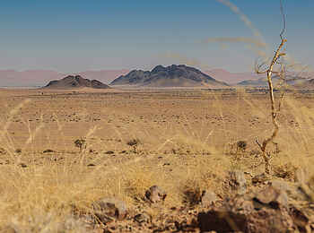 Desert Homestead Outpost: Wüste und Berge