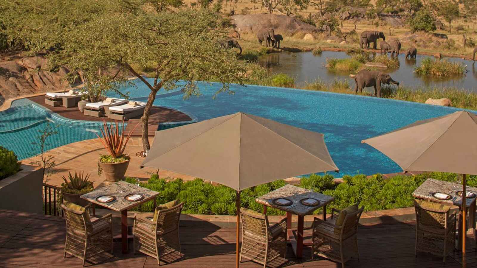 Four Seasons Safari Lodge: Pool und Wasserstelle Four Seasons Safari Lodge: Pool und Wasserstelle