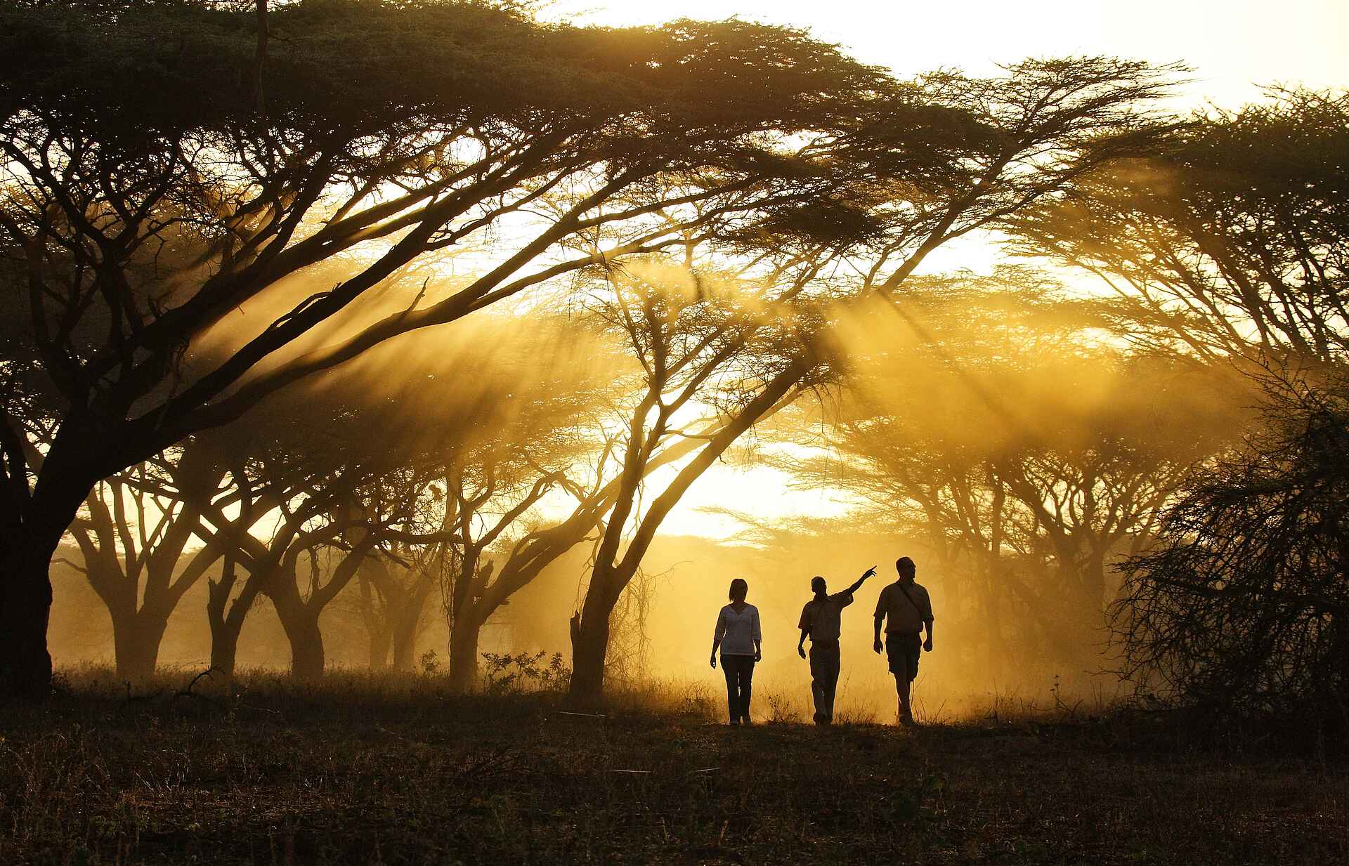 Joy's Camp: Bush Walk