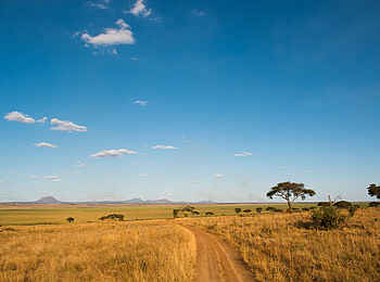 Kuro Tarangire: Safariroute Kuro Tarangire: Safariroute