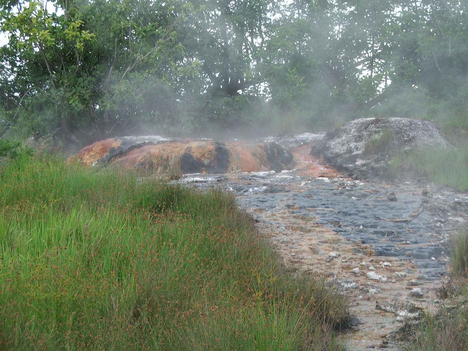 Leopard Lodge: Heiße Quellen in der Umgebung der Lodge Leopard Lodge: Heiße Quellen in der Umgebung der Lodge