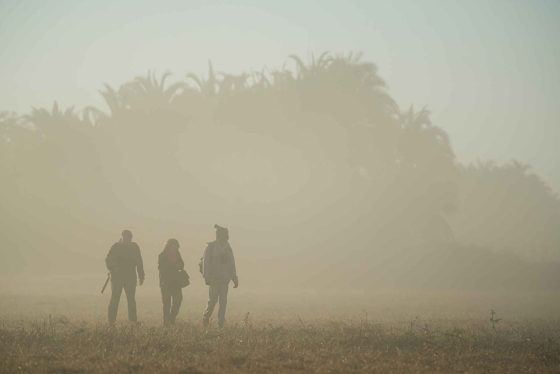 Kafue-Nationalpark, Lagune, Mukambi Fig Tree Bush Camp, Mukambi Safaris, Shishamba River, Dunst, Guide, Walking Safari, Afrikarma, Afrikarma Safaris, Afrikarma Safaris – Wildnis. Hautnah., afrikarma.de