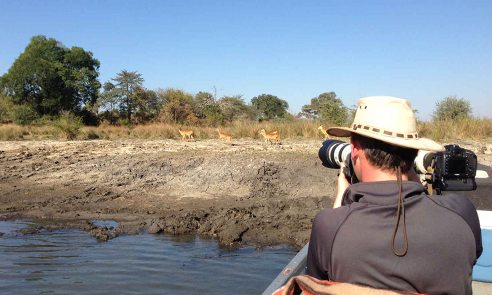 Musekese Camp: Foto-Safari Musekese Camp: Foto-Safari