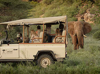 Saruni Samburu: Samburu-Elefant
