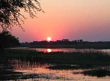 Thamalakane River Lodge: Sonnenuntergang Thamalakane River Lodge: Sonnenuntergang