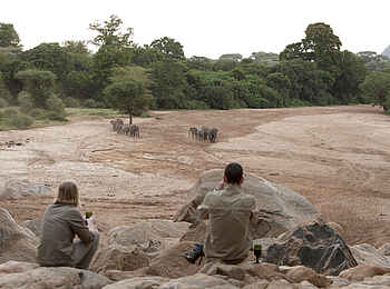 Wayo Manyara Green Camp: Sichere Beobachtung von Elefanten