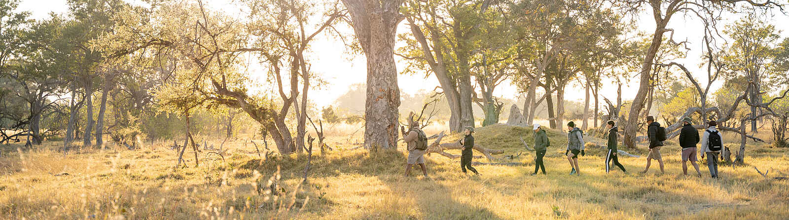 4 Rivers Camp: Walking Safari 4 Rivers Camp: Walking Safari