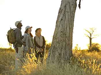 Jabali Private House: Lehrstunde