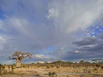 Jabali Private House: Wolkenspiele