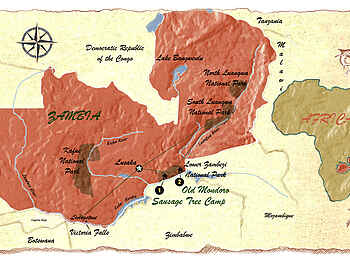 Sausage Tree Camp: Schematische Karte