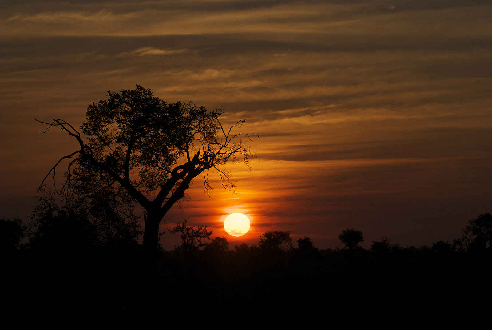 Xakanaxa Camp: Sonnenuntergang Xakanaxa Camp: Sonnenuntergang