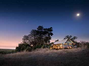 Linyanti Ebony: Gästezelt unter Sternen Linyanti Ebony: Gästezelt unter Sternen