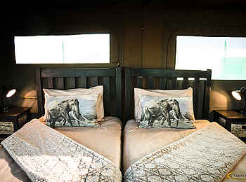 Ozondjou Trails: Ein Twinbett