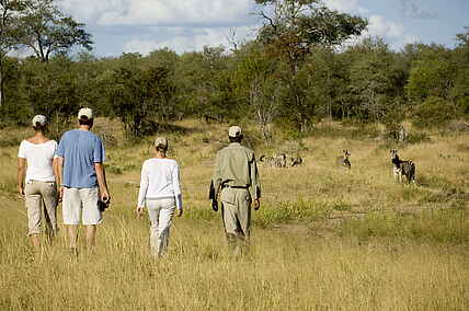 Aktivitäten, Krüger Nationalpark, Ngala Safari Lodge, Südafrika, &Beyond, Buschwanderung, Guide, Tiere, Umgebung, Vegetation, Wanderung