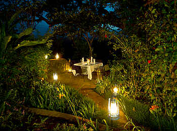 Gibbs Farm: Beleuchteter Pfad
