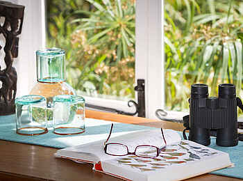 Gibbs Farm: Vogelbeobachtung am Fenster