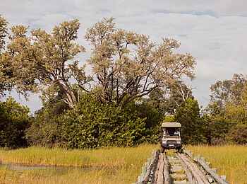 Little Sable Camp: Auf Pirschfahrt Little Sable Camp: Auf Pirschfahrt