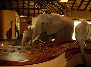 Mfuwe Lodge: Elefantenfamilie an der Rezeption