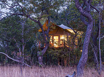 Mukambi Fig Tree Bush Camp: Ein Gästezelt am Abend