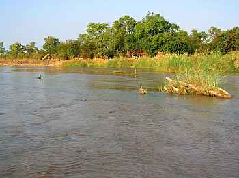 Mwaleshi Camp: Blick aufs Camp