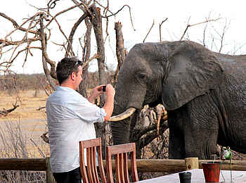 Nehimba Lodge: Elefant vor der Terrasse Nehimba Lodge: Elefant vor der Terrasse