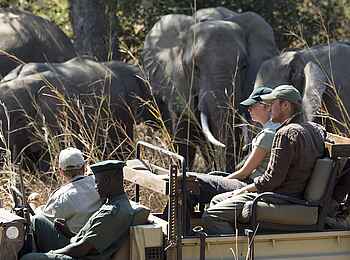 Robin Pope Safaris: Elefanten beim Game Drive