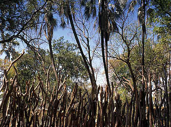 Sandibe Okavango Safari Lodge: Plunge Pool für heiße Tage Sandibe Okavango Safari Lodge: Plunge Pool für heiße Tage