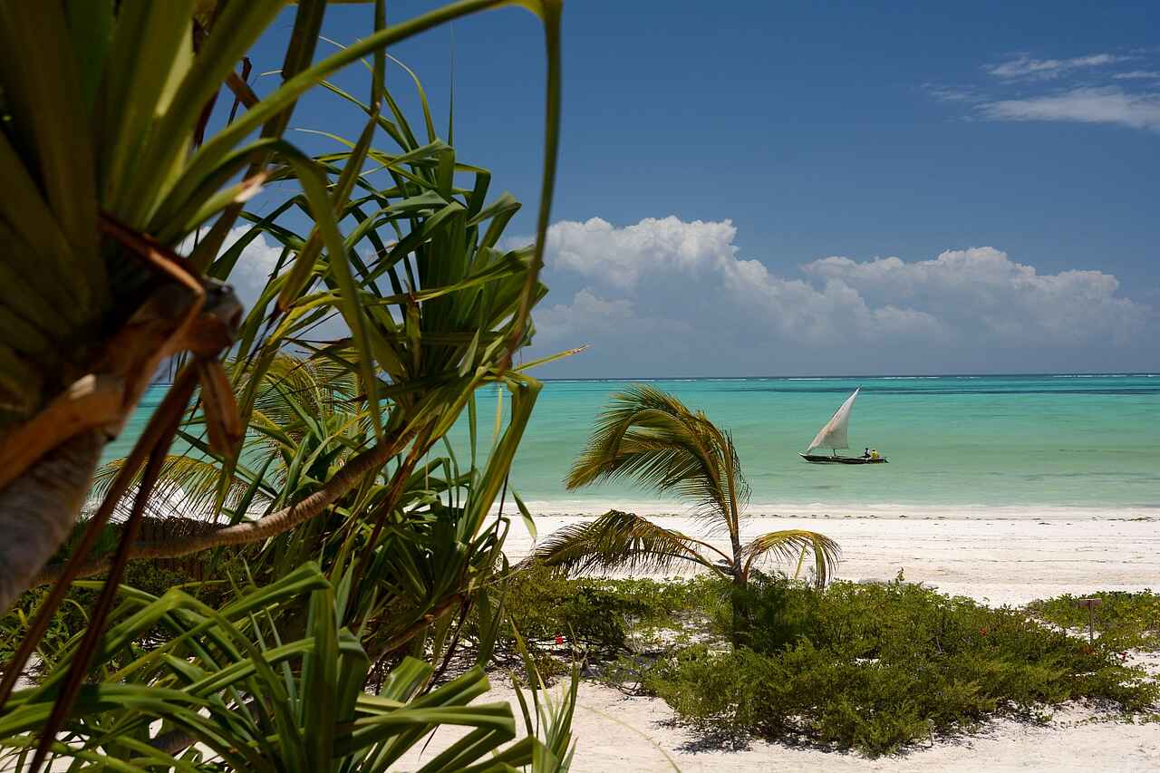 Tony Leslie, Zanzibar White Sand Luxury Villas, Garten, Indik, Meer, Palmen, Strand, Paje, Sansibar, Afrikarma, Afrikarma Safaris, Afrikarma Safaris - Wildnis. Hautnah., Afrikarma.de