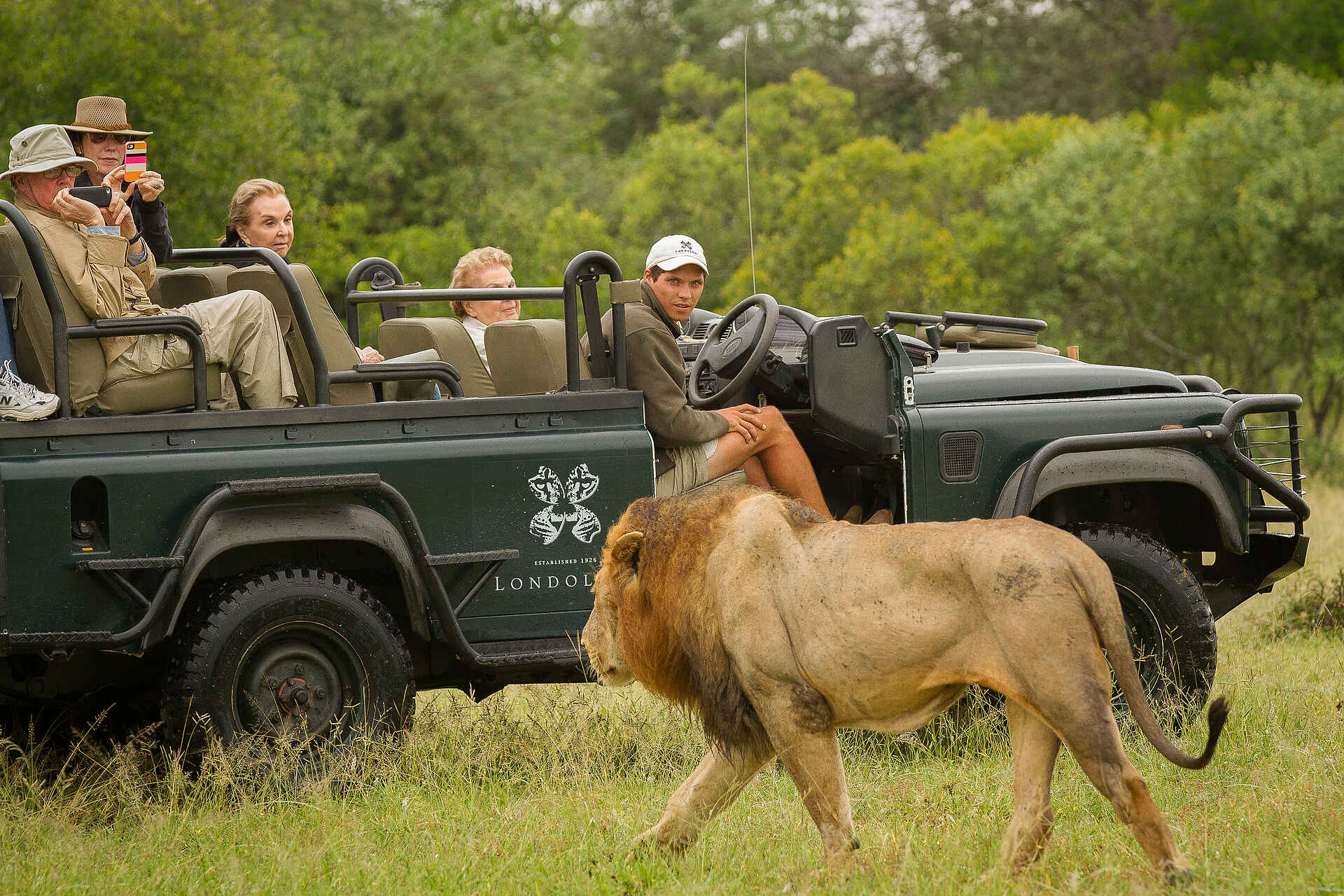 Big 5, Londolozi, Luxus Safari, Sabi Sands, Top Luxus, Landschaft, Safari, Tiere, Wildlife, Londolozi Varty Camp, Afrikarma, Afrikarma Safaris, Afrikarma Safaris - Wildnis. Hautnah., afrikarma.de