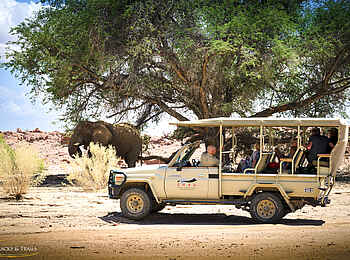 Ozondjou Trails: Elefanten auf einem Game Drive