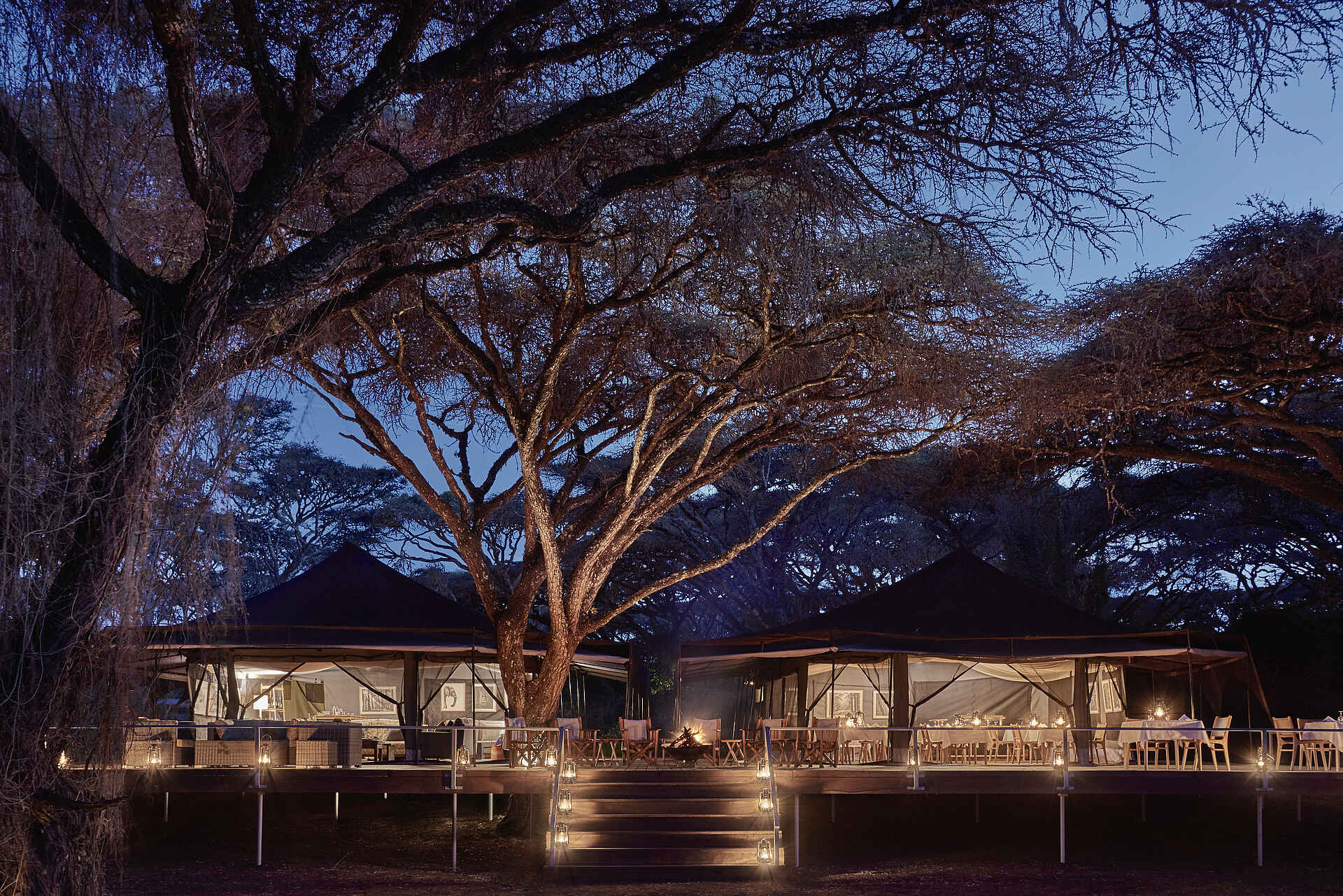 Sanctuary Ngorongoro Crater Camp: Blick auf den Hauptbereich Afrikarma, Afrikarma Safaris, Afrikarma Safaris - Wildnis. Hautnah., Afrikarma.de, Sanctuary Ngorongoro Crater Camp, Bäume, Bilder, Decken, Holzdeck, Lagerfeuer, Paraffinlampen, Sofasitze, Stühle, Tischdecken, Tische, Treppen, Zelte