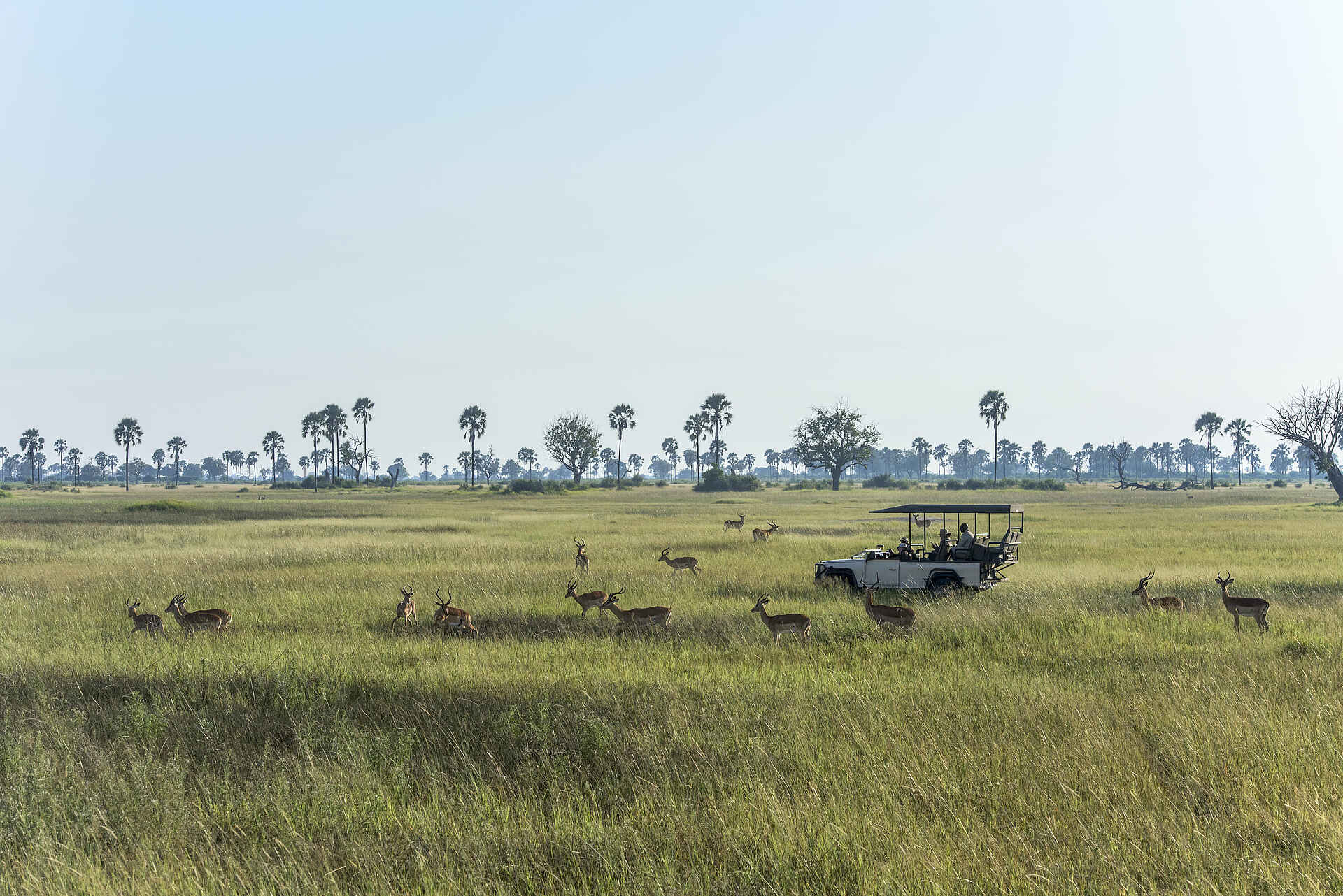 Xigera Safari Lodge: Game Drive
