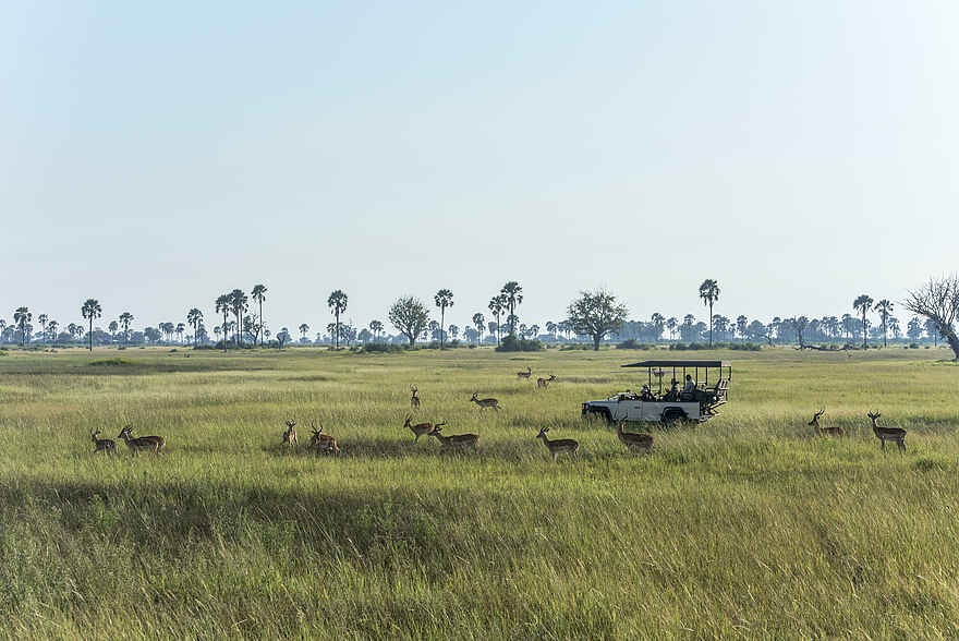 Xigera Safari Lodge: Game Drive Xigera Safari Lodge: Game Drive