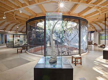 Horizon by Ongava: Ongava Discovery Center Atrium