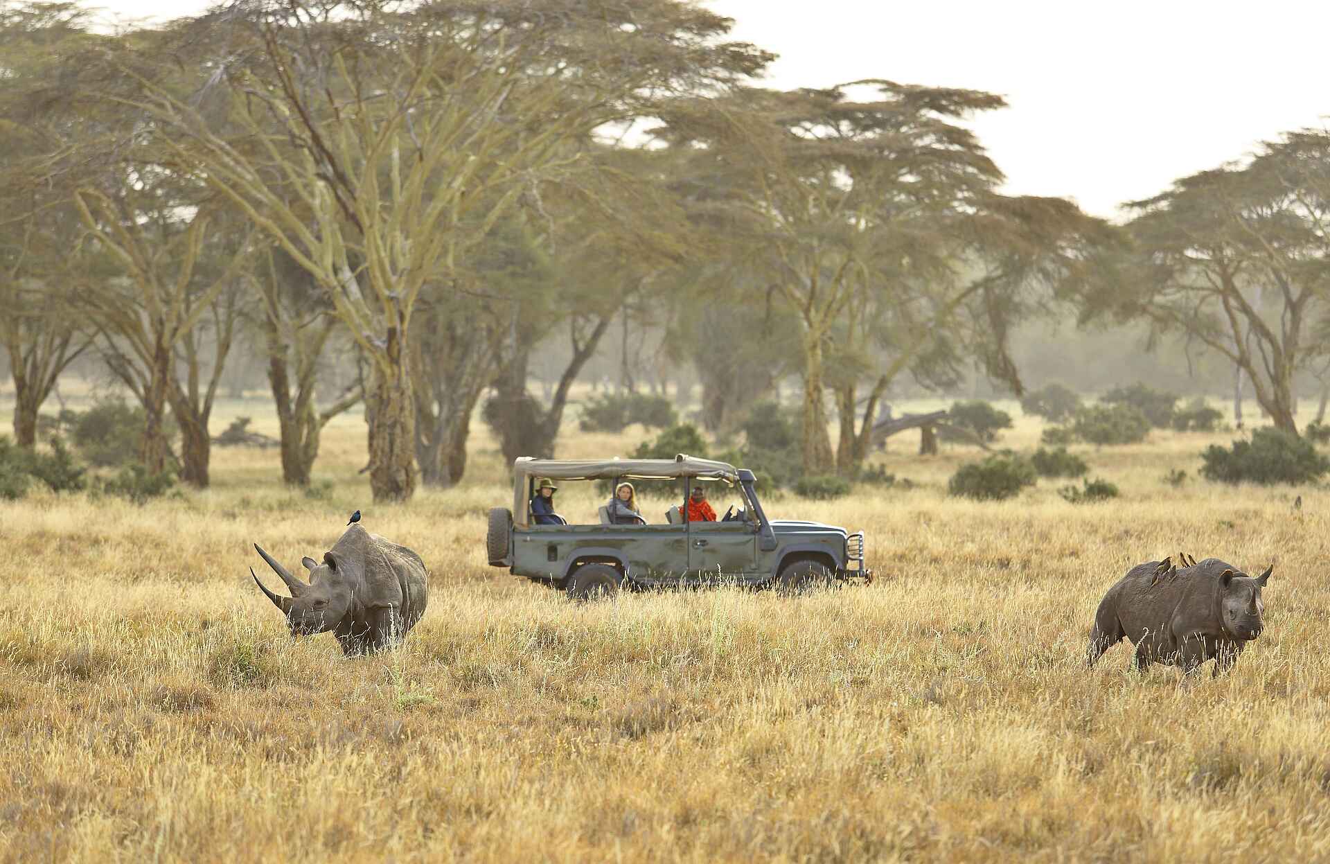 Kifaru House: Pirschfahrt Kifaru House: Pirschfahrt